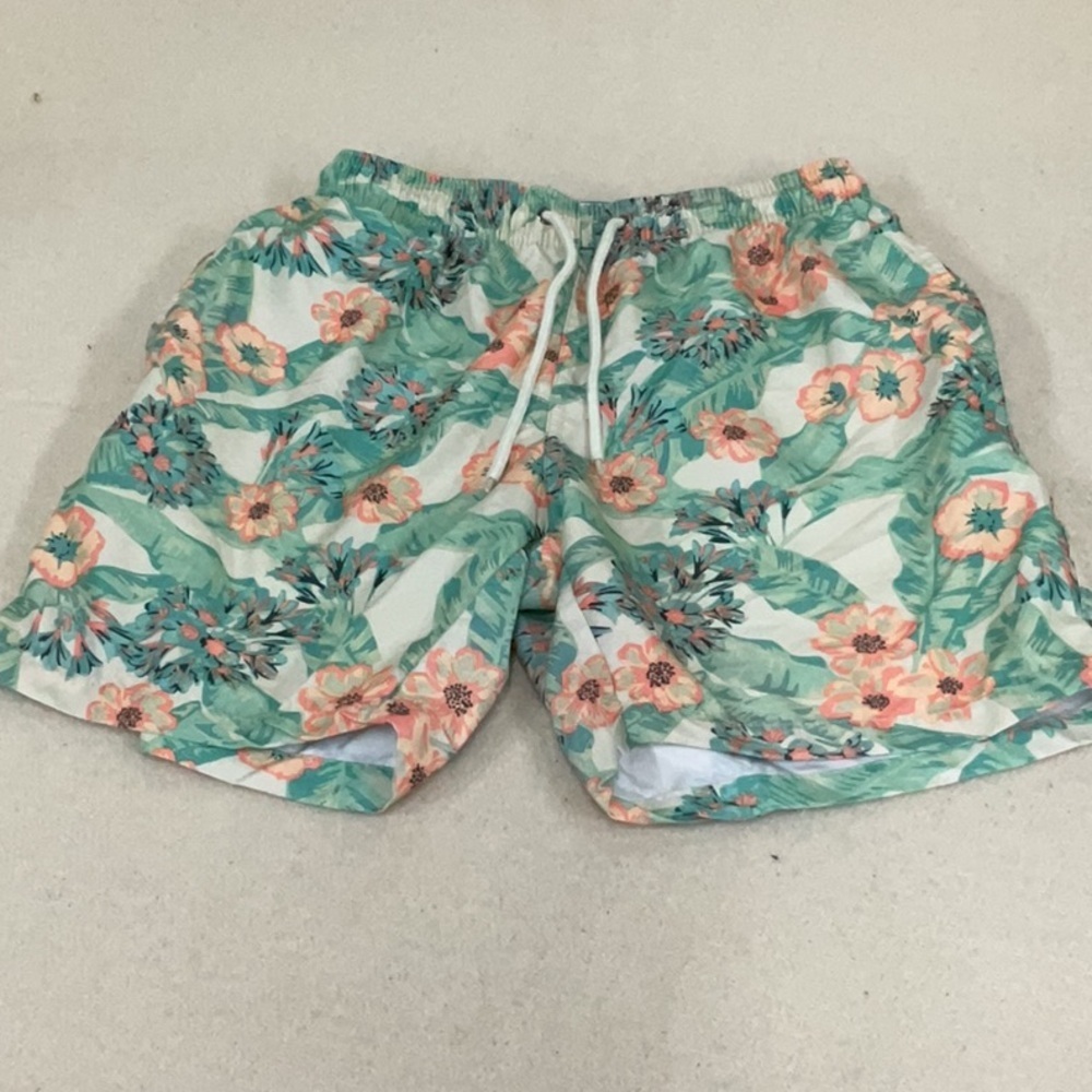 EUC mens free planet swim trunks